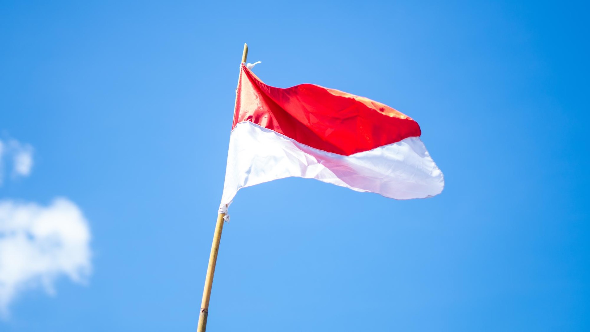 Crypto optimism surges as Indonesia's election results unfold